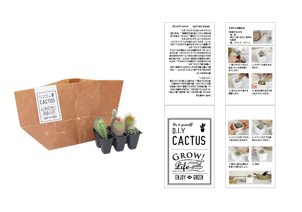 cactusDIYキッド
